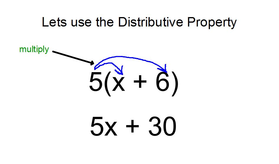 Use The Distributive Property To Remove The Parentheses What Is 6 3 w 